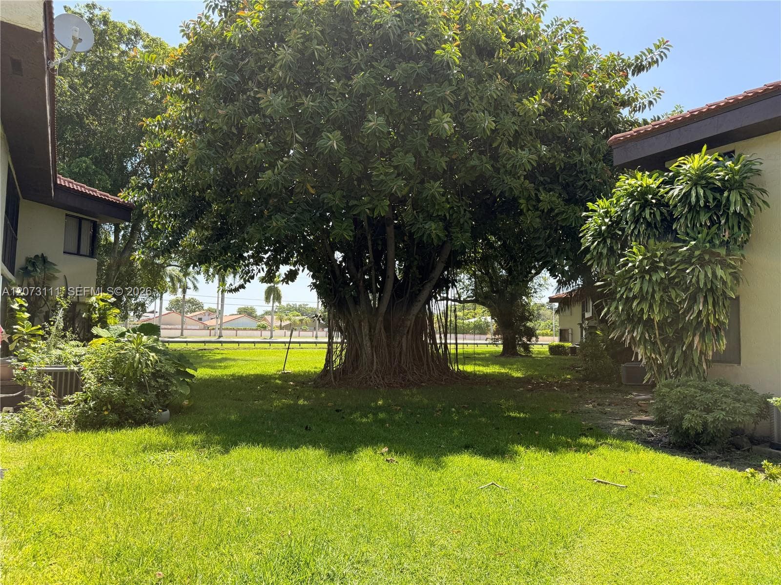 9725 photo 18