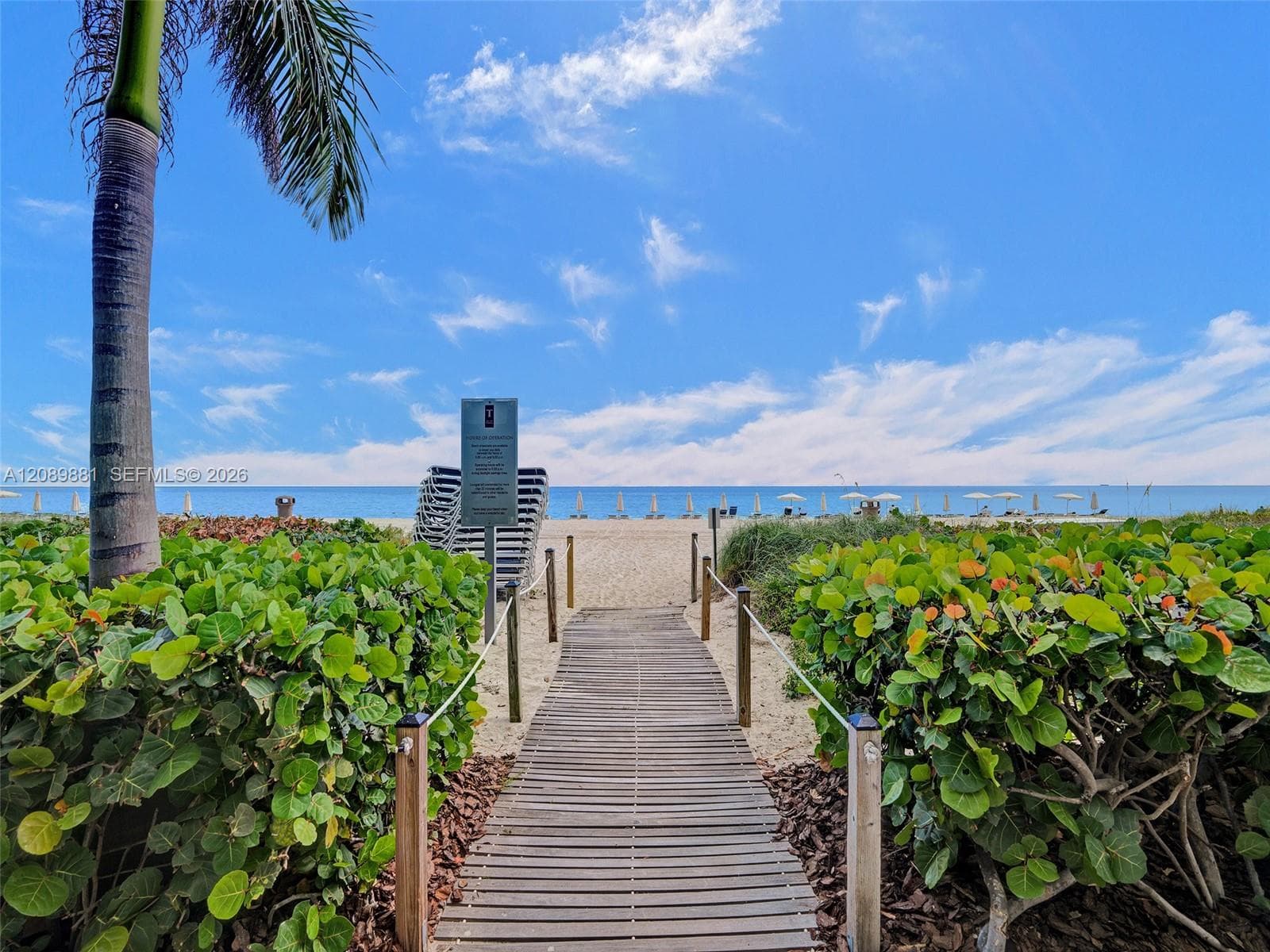 15901 Collins Ave 603 photo 6