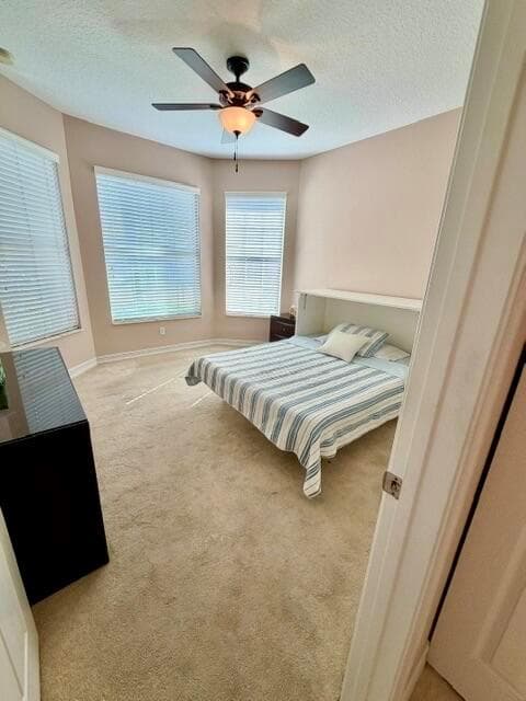 9063 MERIDIAN VIEW Isle photo 11