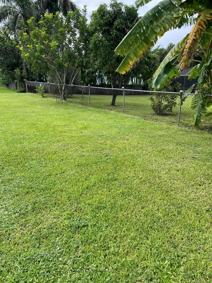 79 OREGON Lane photo 18