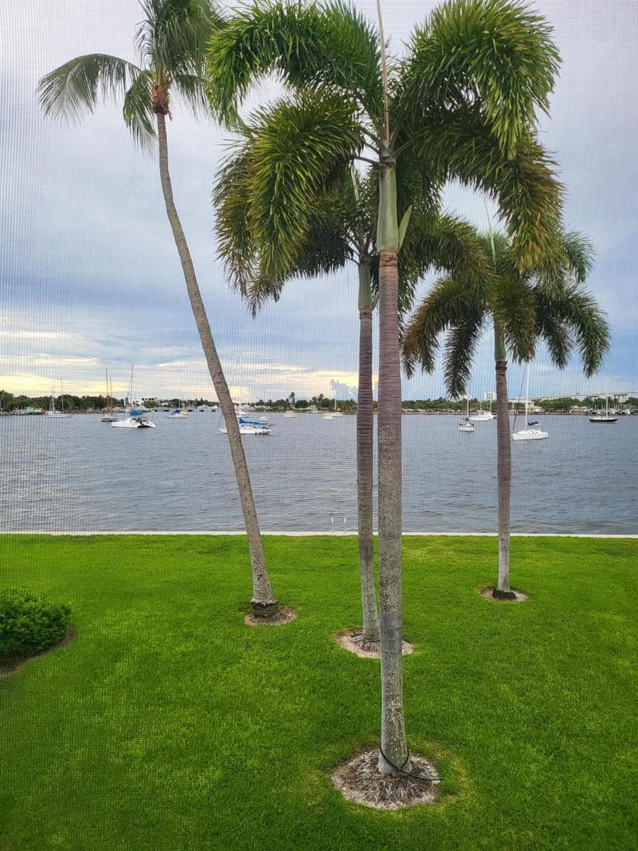 1071 SUGAR SANDS Boulevard 5 photo 3
