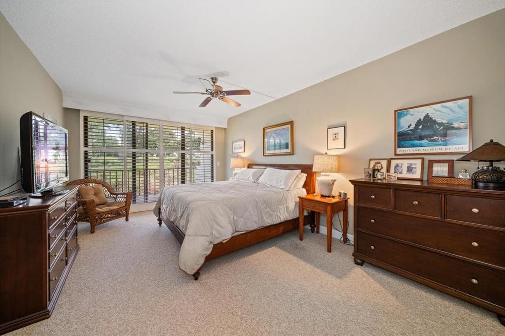 50 COE ROAD 311 photo 18