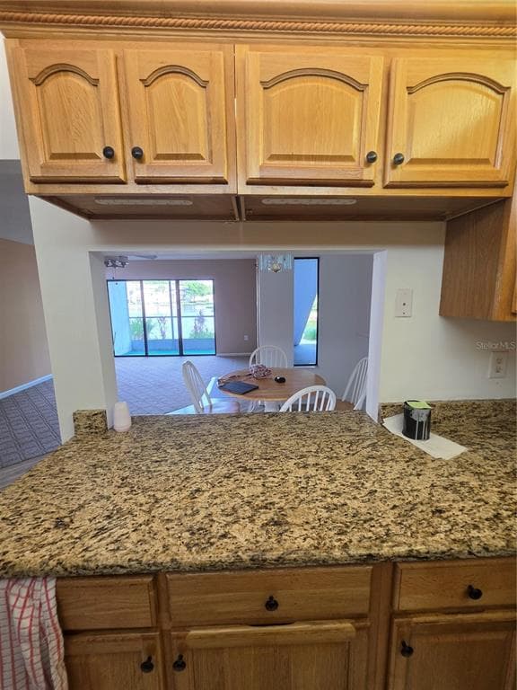 1281 PINE RIDGE CIRCLE E B1 photo 6