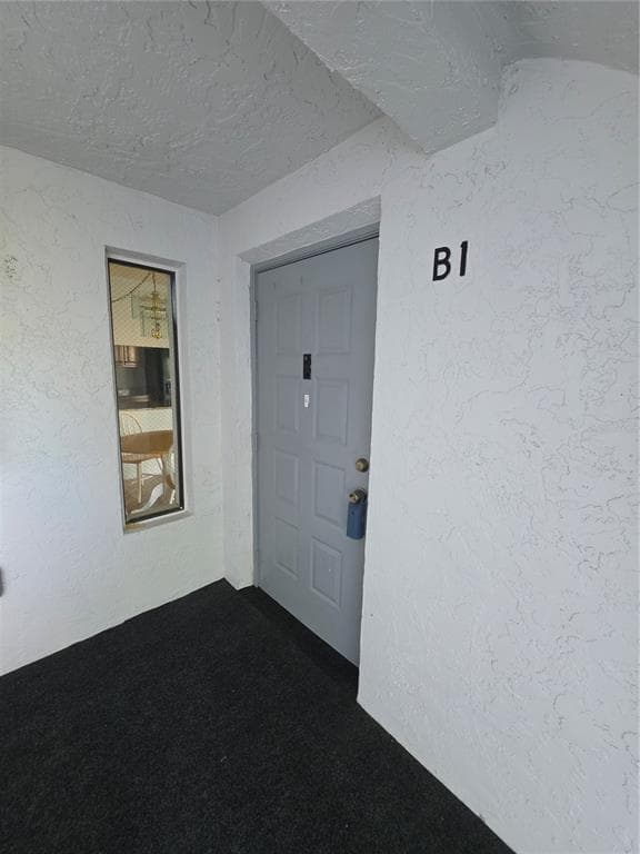 1281 PINE RIDGE CIRCLE E B1 photo 24