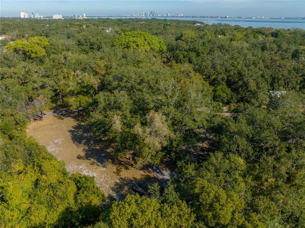6210 BAYSHORE BOULEVARD photo 13