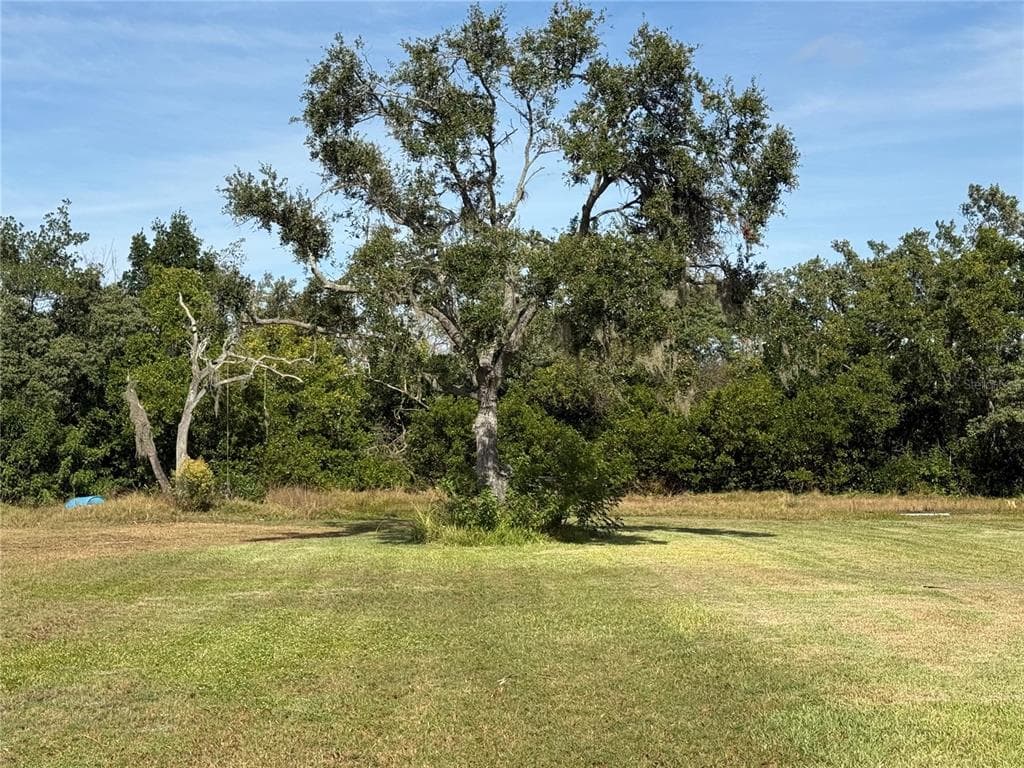 916 PINEY POINT ROAD photo 5