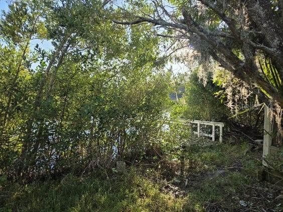 18909 ARIPEKA ROAD photo 5