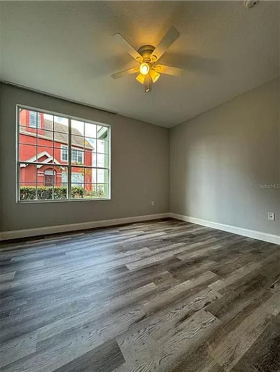 9820 LAKE CHASE ISLAND WAY 9820 photo 16