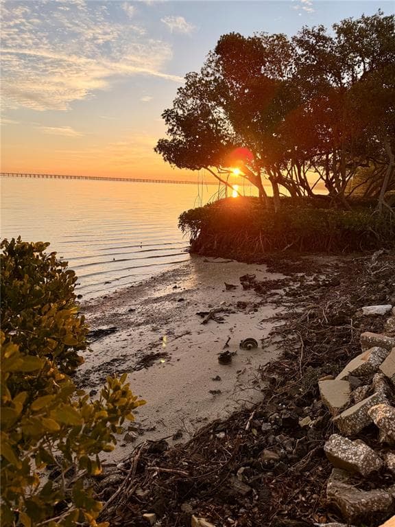 2980 HAINES BAYSHORE ROAD 124 photo 5