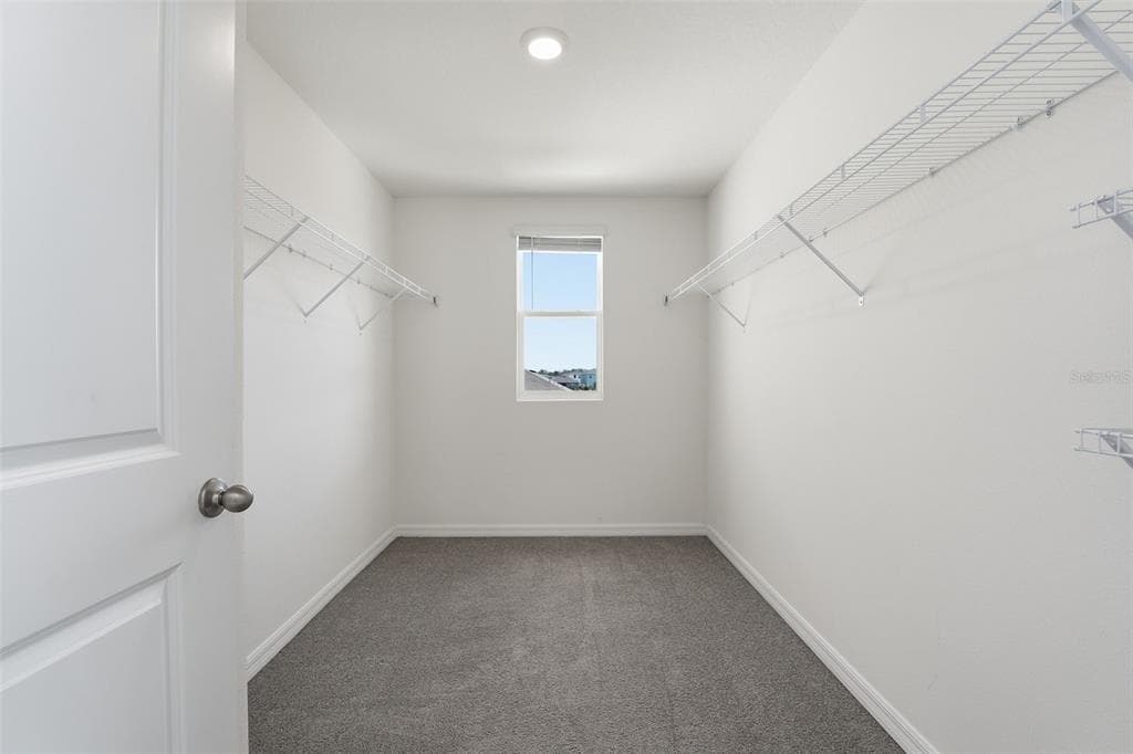10215 CHARLOTTE DRIVE photo 24