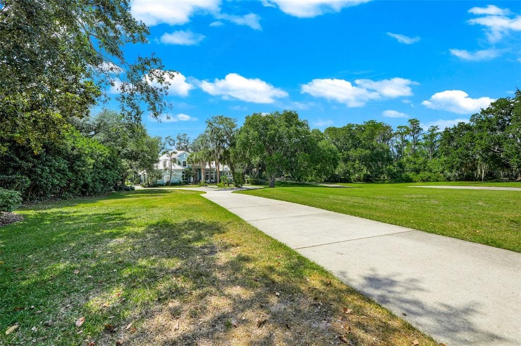11610 OSPREY POINTE BOULEVARD photo 10