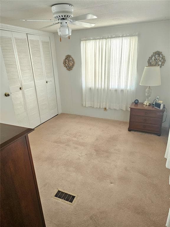 110 ROMA ROAD photo 13