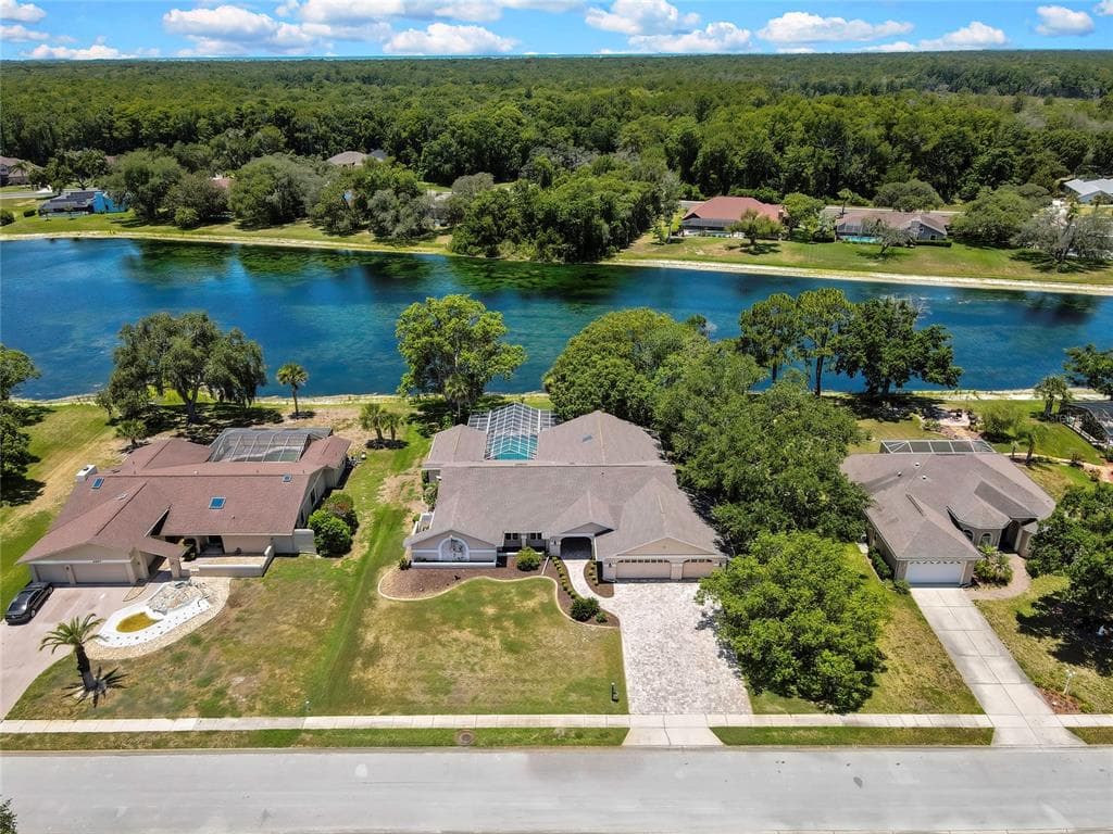 4293 RIVER BIRCH DRIVE photo 1