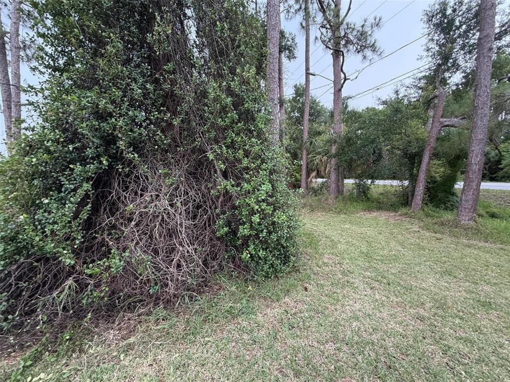 4560 POLK CITY ROAD photo 14