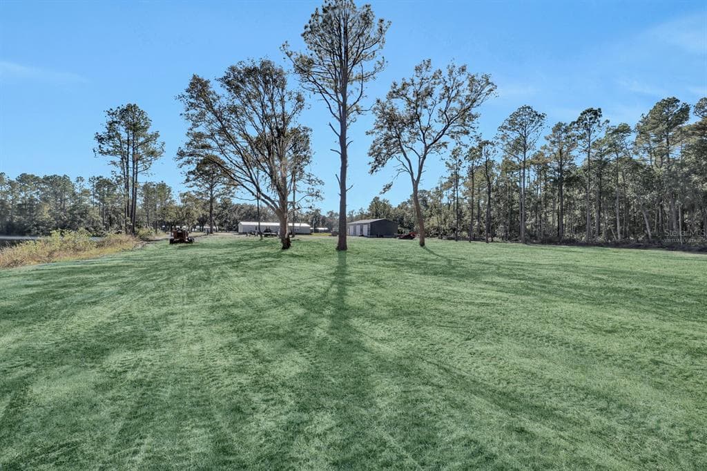 141 WOODS ROAD photo 12