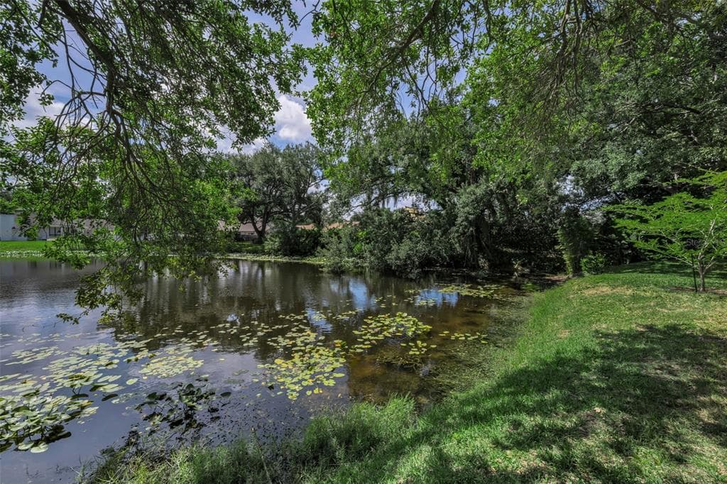 10497 LONGWOOD DRIVE photo 4