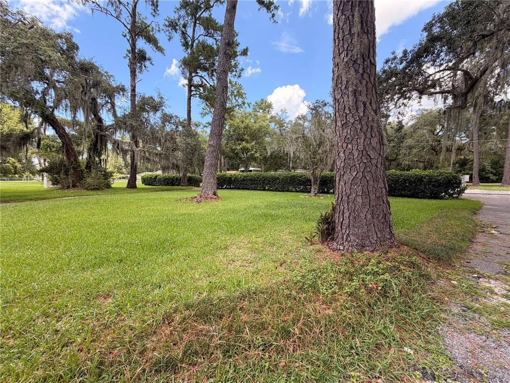 1940 ALICE DRIVE photo 5