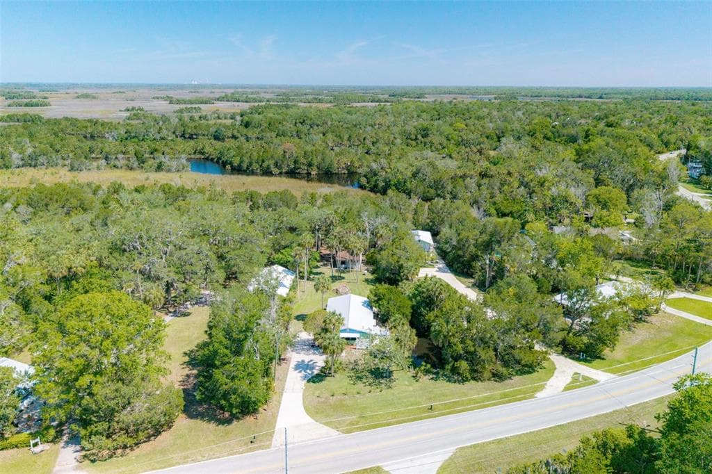 10709 W HALLS RIVER ROAD photo 8