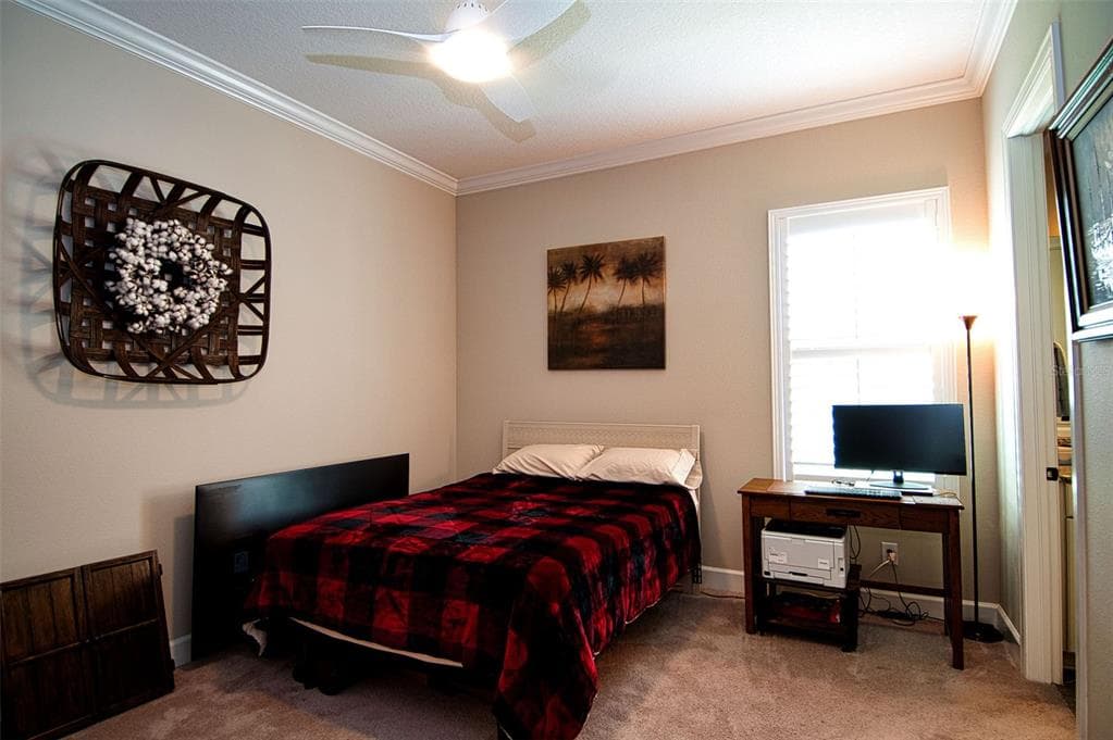 3456 FORSYTHIA DRIVE photo 23