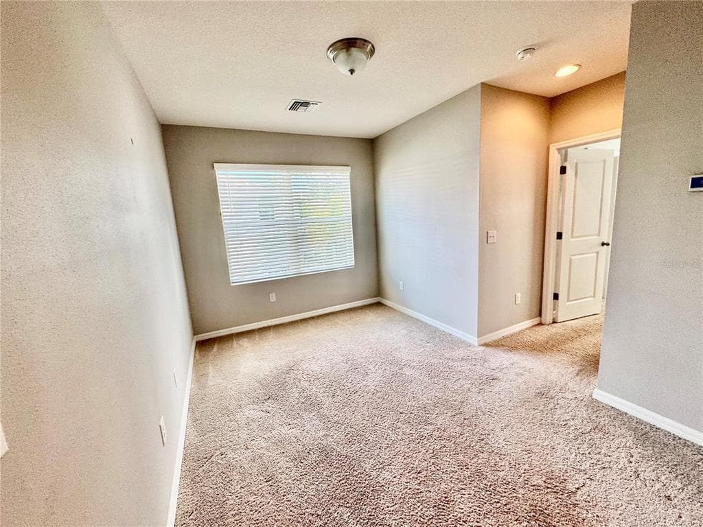 8696 ICE WINE STREET photo 23
