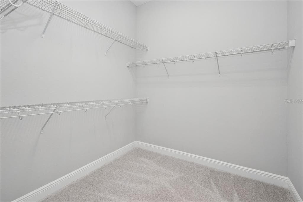7031 BILLIE COURT photo 21